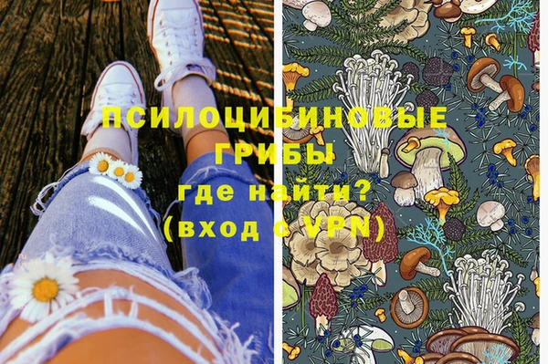 тгк Богданович