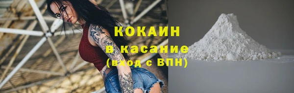 тгк Богданович