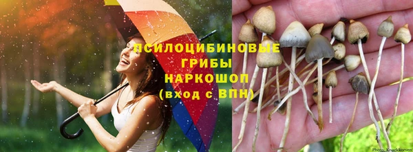 гашик Богородицк