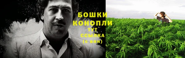 тгк Богданович