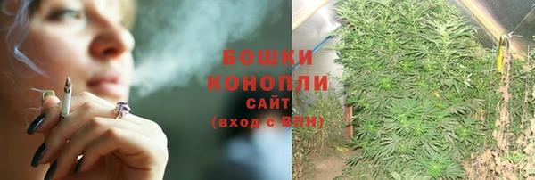 гашик Богородицк