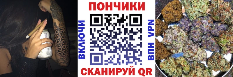 Купить закладки  Заречный  Канабис VHQ 